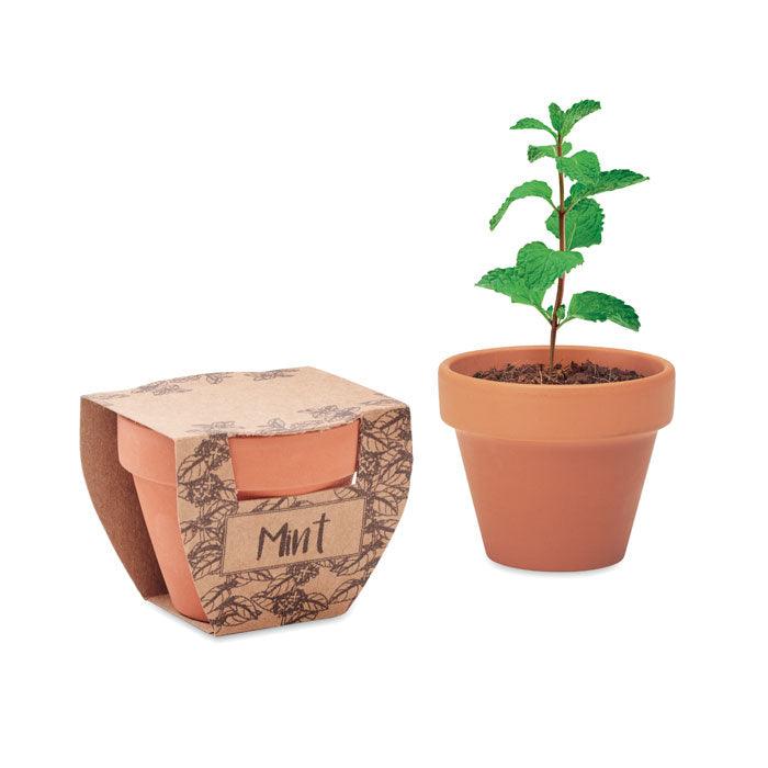 MO2218 - MINT POT - Ak. Custom Clothting Solutions
