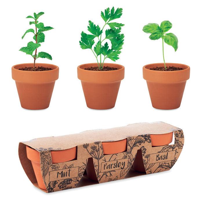 MO6145 - FLOWERPOT - Ak. Custom Clothting Solutions