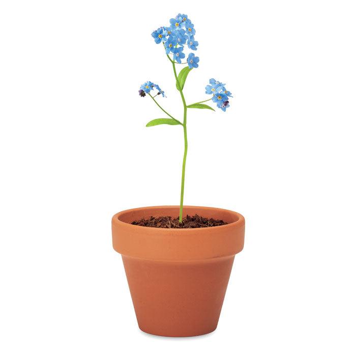 MO6146 - FORGET ME NOT - Ak. Custom Clothting Solutions