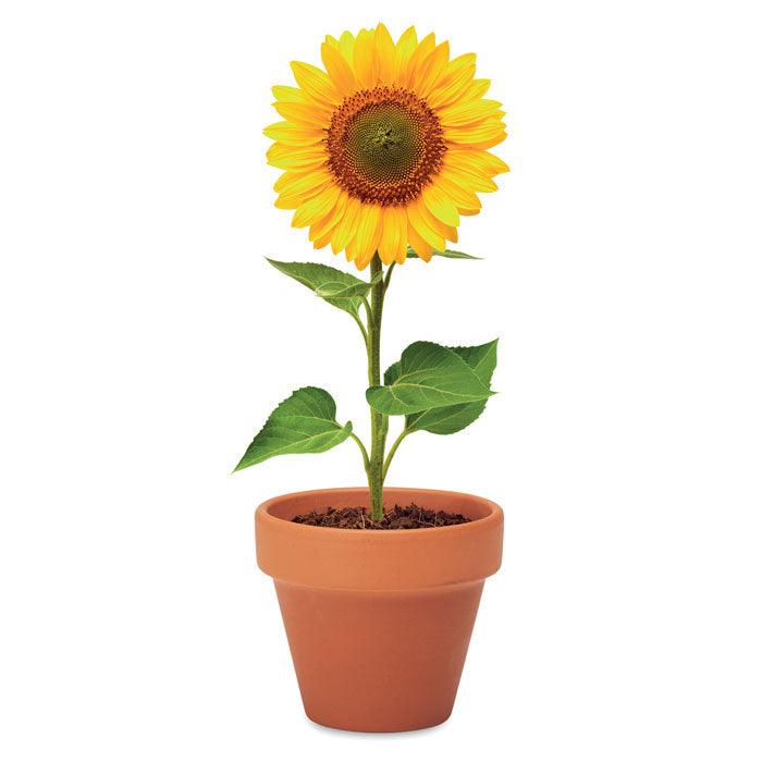 MO6147 - SUNFLOWER - Ak. Custom Clothting Solutions