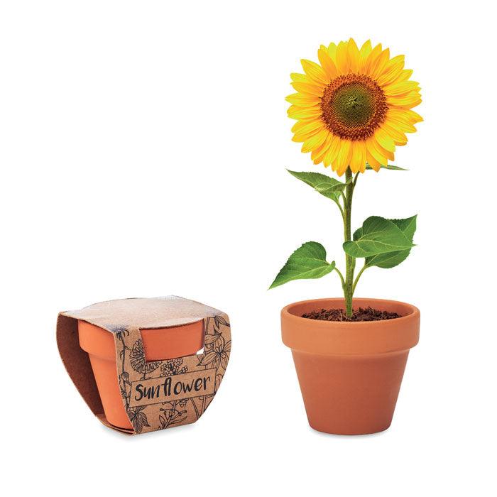 MO6147 - SUNFLOWER - Ak. Custom Clothting Solutions