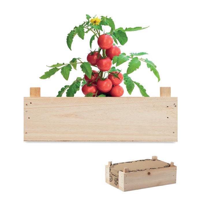 MO6498 - TOMATO - Ak. Custom Clothting Solutions