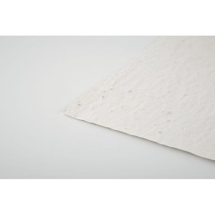 MO6916 - ASIDO - Ak. Custom Clothting Solutions
